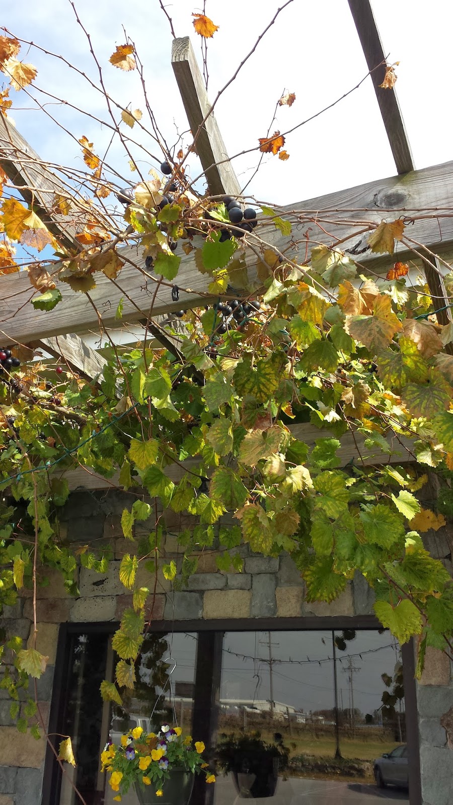 The Beans Creek Winery